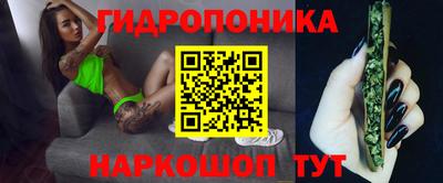 прущие крисы Донской