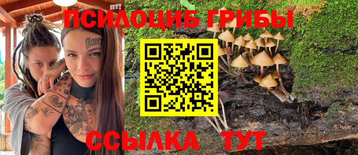 Псилоцибиновые грибы GOLDEN TEACHER Можайск