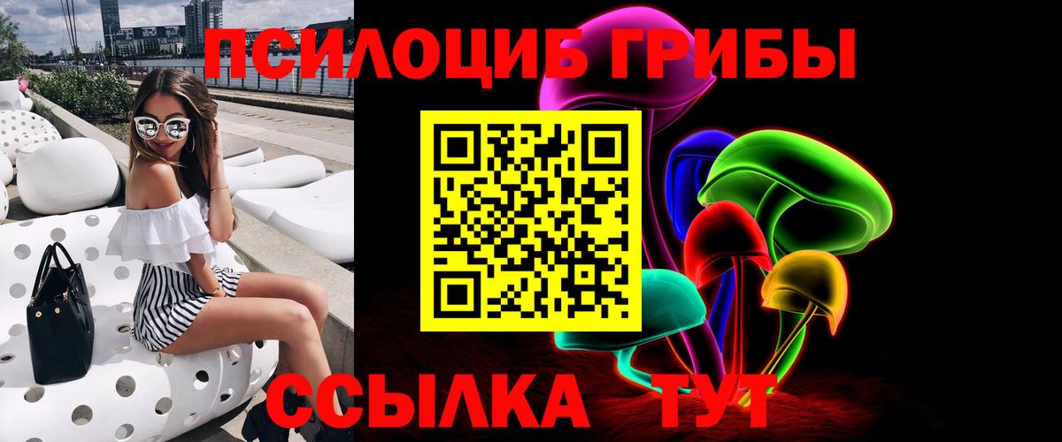 Можайск  купить  сайты  Вход с VPN  Галлюциногенные грибы Psilocybe  Псилоцибиновые грибы Psilocybine cubensis 